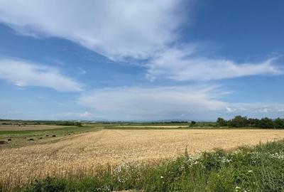 Teren de 3632 mp, în Viile Satu Mare
