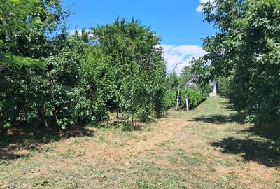 Casă cu 3 camere cu Canalizare în Cuculeasa