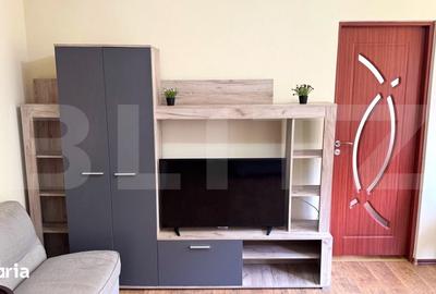 Apartament cu 2 camere semidecomandat în Central - 8