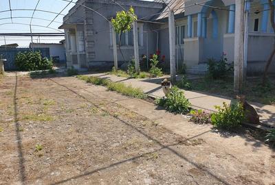 Casă cu Teren 1853 Mp în Sarichioi - 6