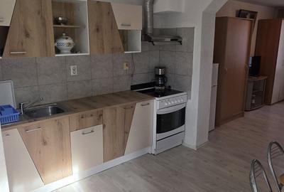 Garsonieră semidecomandată în Piața Cluj - 8