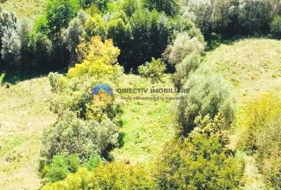 Teren Construcții de 2510 mp, în Borlești - 8
