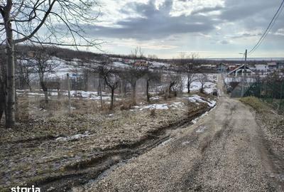 Teren de 10000 mp, în Păulești