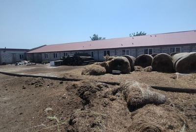 Proprietate specială, de 1,400 mp, în Cobadin