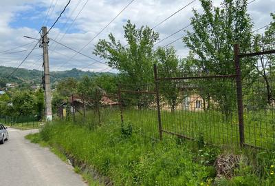 Teren Construcții intravilan de 4200 mp, în Ocina de Sus - 7