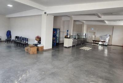 Proprietate specială, de 200 mp, în Mureșeni