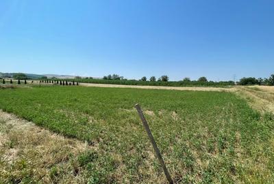 Teren Construcții intravilan de 1165 mp, în Oarda - 4