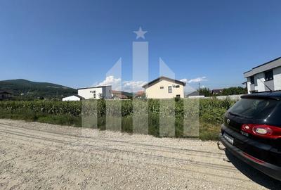 Teren Construcții intravilan de 5000 mp, în Micești - 4