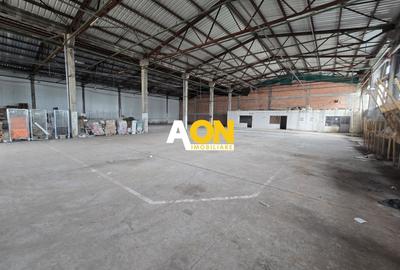 Spațiu industrial, de 900 mp, în Bărăbanț