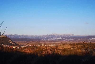 Teren de 1330 mp, în Central