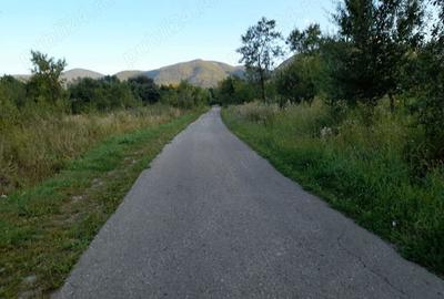 Teren de 2400 mp, în Păucinești - 2