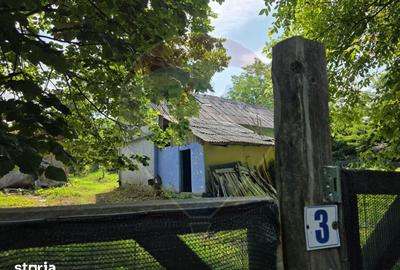 Casă cu 4 camere cu Teren 3686 Mp în Buciumi - 10