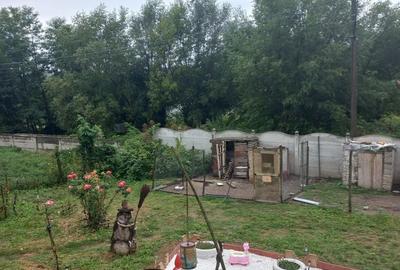 Casă cu 3 camere în Ciula Mare