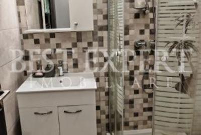 Apartament cu 3 camere, mobilat în Theodor Pallady - 15