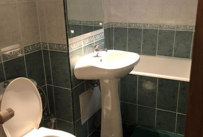 Garsonieră nedecomandată în Valea Rosie - 10
