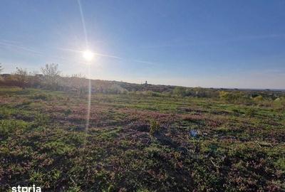 Teren de 3100 mp, în Paleu