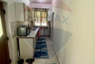 Casă cu 3 camere cu Teren 1500 Mp în Pomi - 13