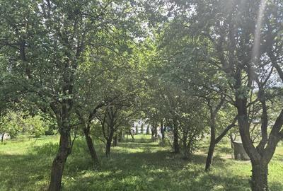 Casă cu 4 camere în Central - 5