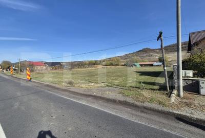 Teren Construcții intravilan de 2400 mp, în Voiniceni