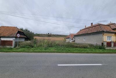 Teren de 2730 mp, în Petrești - 4