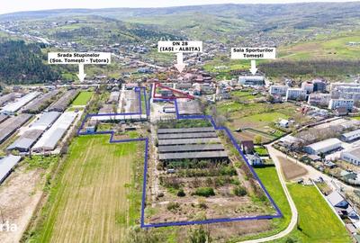 Spațiu comercial, în Tomești