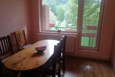 Apartament cu 2 camere decomandat în Ultracentral - 8