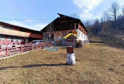 Casă în Provița de Jos - 1