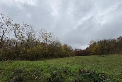 Teren de 2941 mp, în Budești
