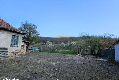 Casă cu 2 camere cu Teren 50 Mp în Sârbi - 7