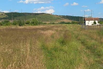 Teren de 450 mp, în Șimian - 5