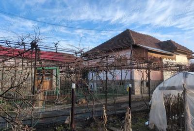 Casă cu Teren 5000 Mp în Roșia de Amaradia - 9