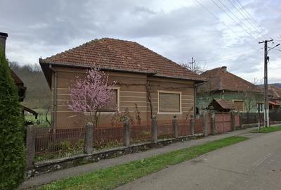 Casă cu 3 camere cu Teren 1677 Mp în Pleșcuța - 4