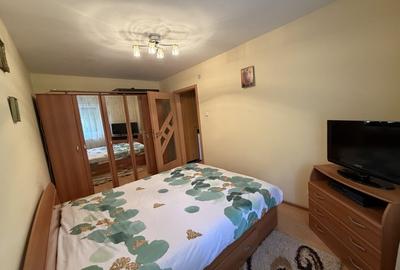 Apartament cu 2 camere semidecomandat, mobilat în Cetate - 9