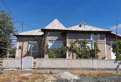 Casă cu Teren 5024 Mp în Nufăru