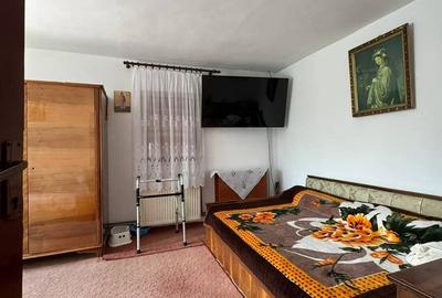 Casă cu 3 camere cu Teren 4000 Mp în Letca Nouă - 1