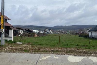 Teren de 1000 mp, în Dărmănești