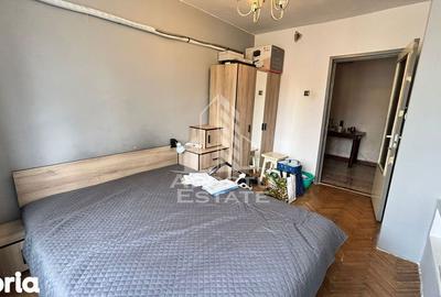 Apartament cu 3 camere decomandat în Iosefin - 7
