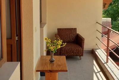 Casă cu 4 camere cu Teren 20 Mp în Băile Herculane - 9