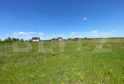 Teren de 740 mp, în Moșnița Nouă