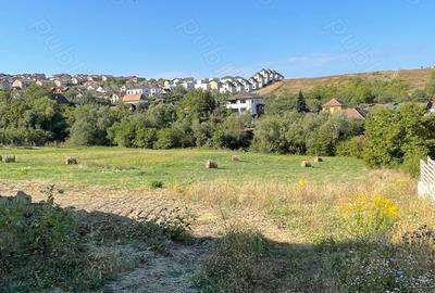 Teren în Dezmir - 6
