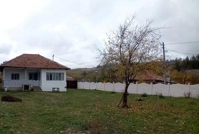 Casă cu 3 camere cu Teren 1350 Mp în Cervenița - 7
