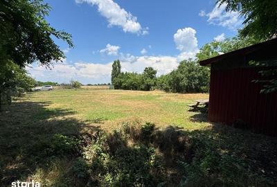 Teren de 1200 mp, în Nuci - 5