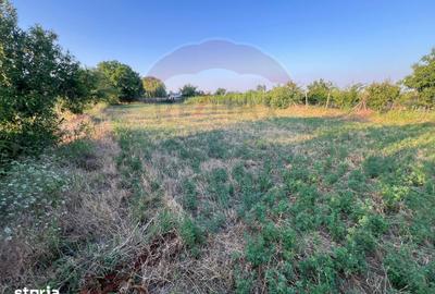 Teren de 1224 mp, în Bolotești - 2