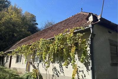 Casă cu Teren 1600 Mp în Romos - 1