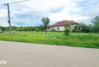 Teren de 7443 mp, în Săcelu
