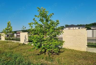 Teren de 7000 mp, în Samurcași - 2