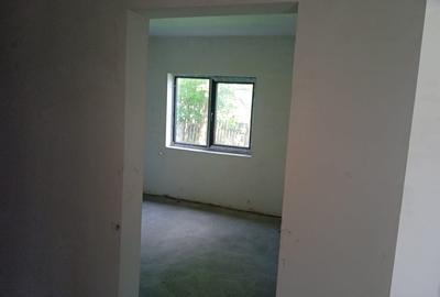 Casă individuală cu 5 camere cu Teren 10000 Mp în Lunca Ilvei - 11