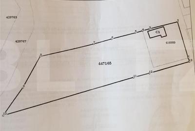 Teren Construcții intravilan de 6263 mp, în Plopi