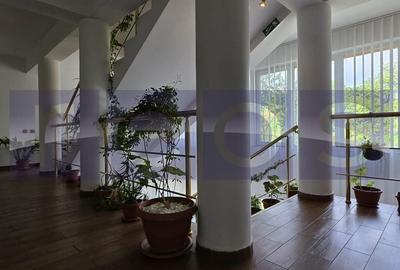 Casă cu 7 camere cu Teren 320 Mp în Pantelimon - 3