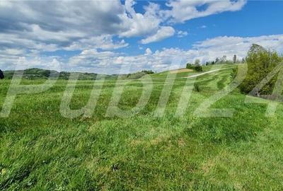 Teren de 8500 mp, în Poiana Mărului - 5